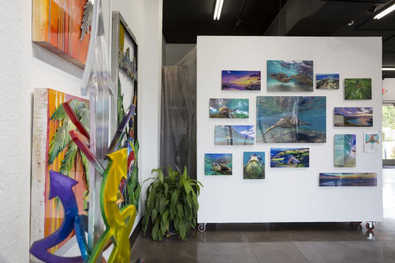 Gallery image