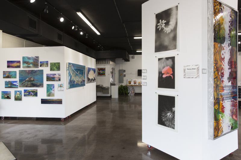 Gallery image