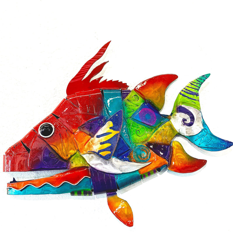 HOG FISH