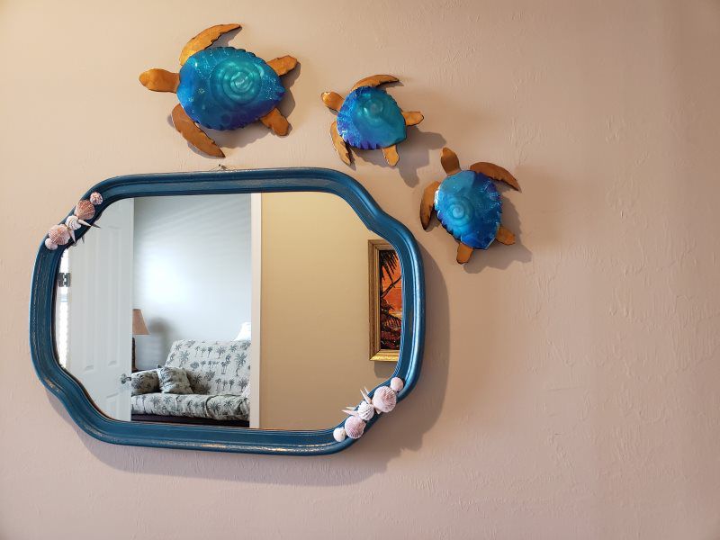 BABY TURTLES