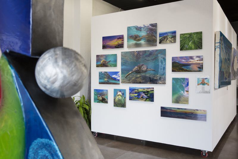Gallery image