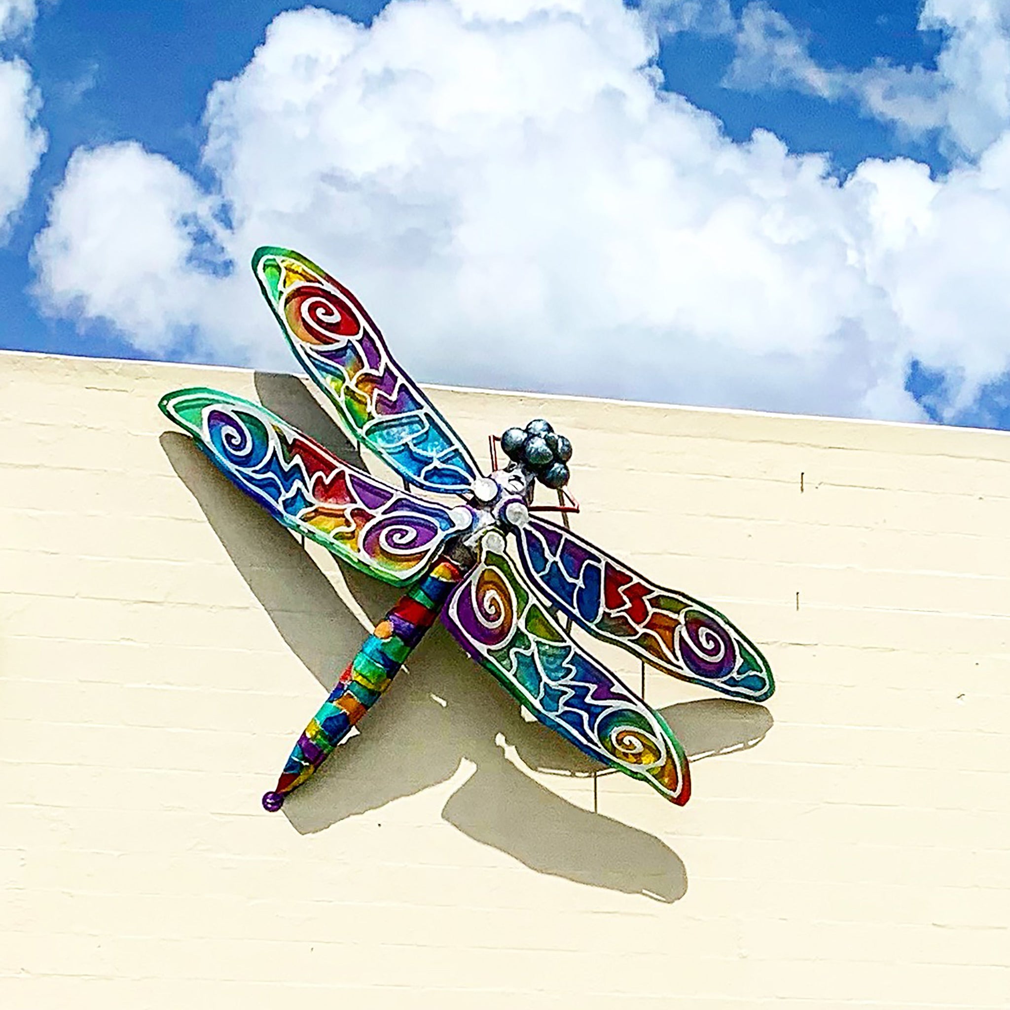 Swartz installs Dragon Fly at Swartz Gallery In Pinellas Park, FL