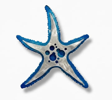 Starfish small Wall Sculpture