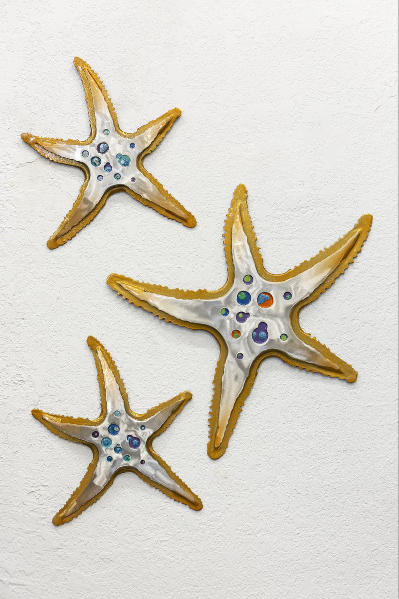 SEA STARS