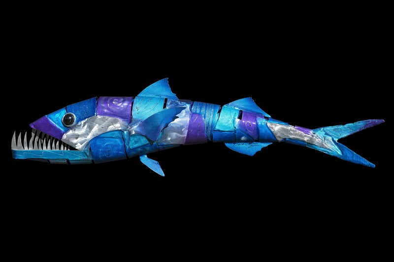 BARRACUDAS