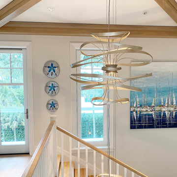 26" Sand dollar Seal Life Collection by Clayton Swartz